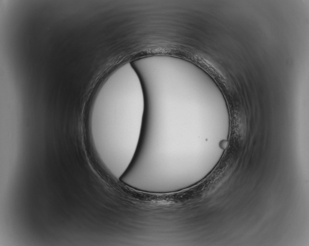 X0000098160586200804171219