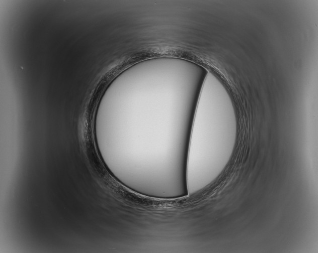 X0000098160587200804171219