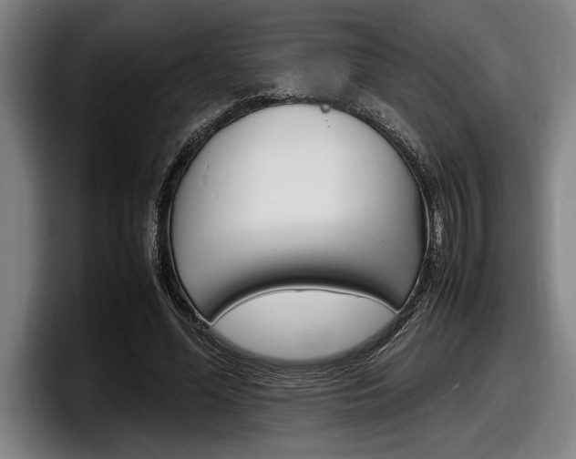 X0000098160588200804171219
