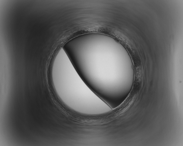 X0000098160589200804171219