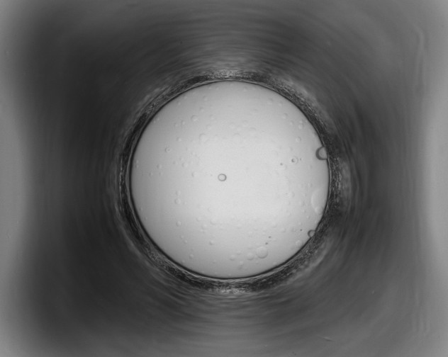 X0000098160590200804171219