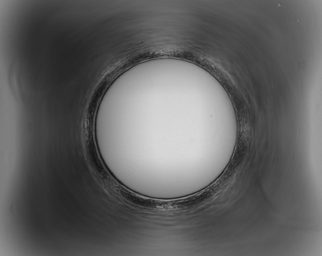 X0000098160591200804171219