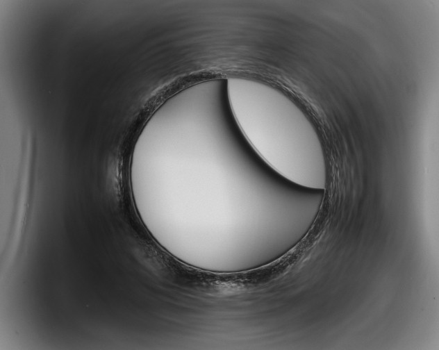 X0000098160592200804171219