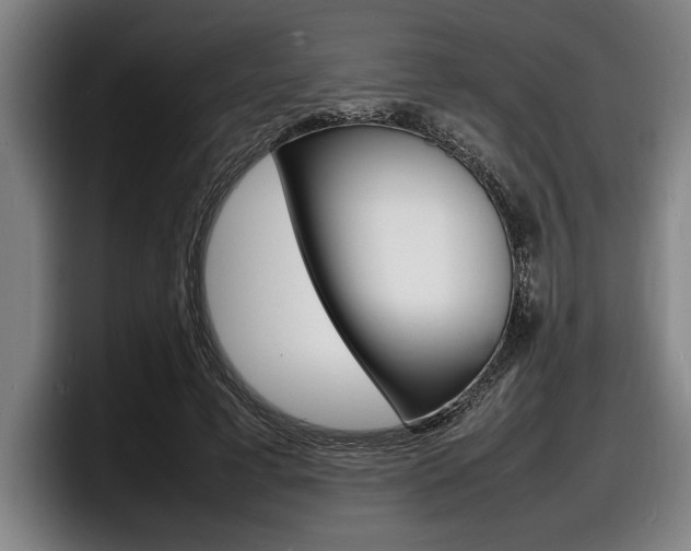 X0000098160593200804171219