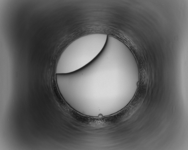X0000098160594200804171219