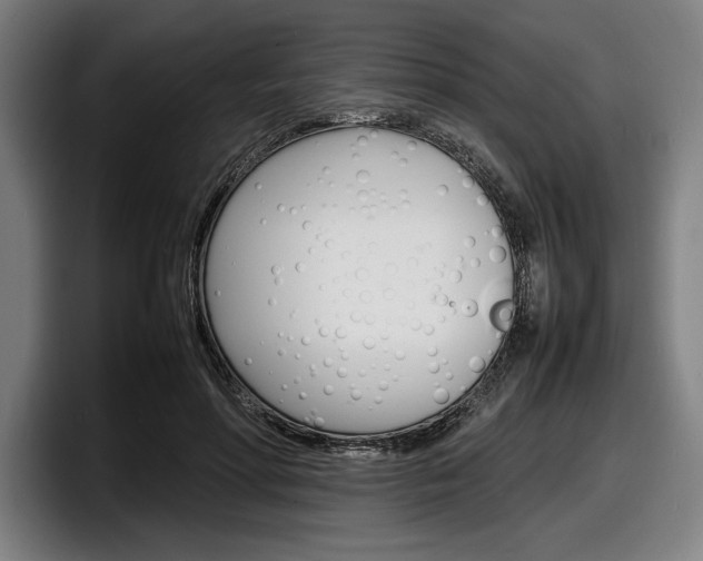 X0000098160598200804171219