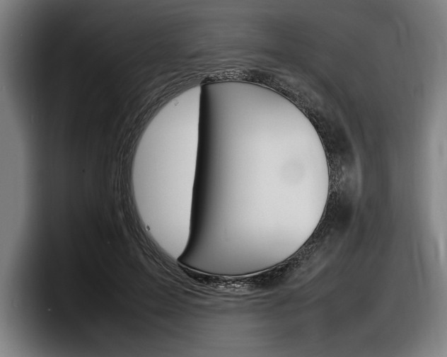 X0000098160599200804171219