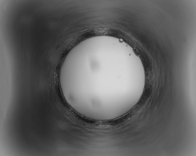 X0000098160601200804171219