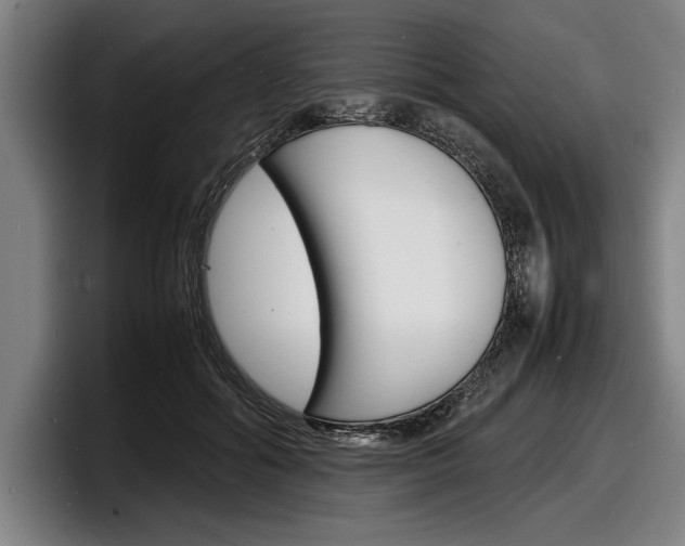X0000098160602200804171219