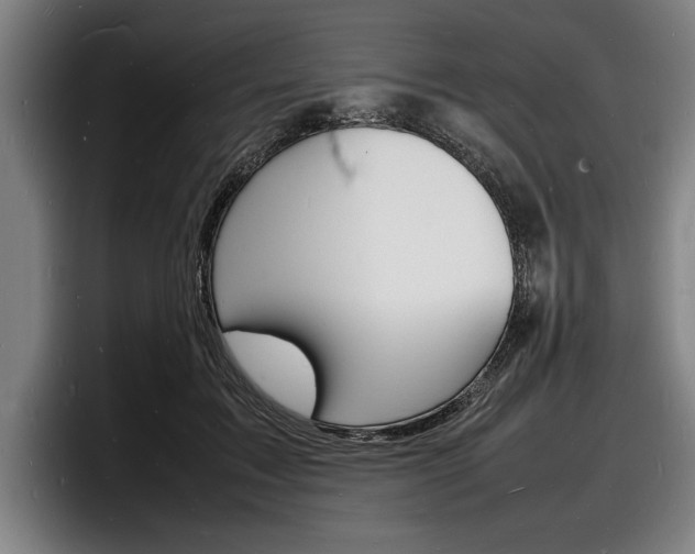 X0000098160603200804171219
