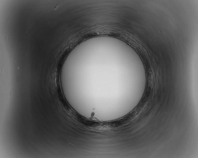 X0000098160604200804171219