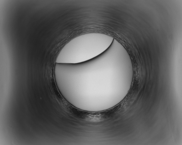X0000098160606200804171219