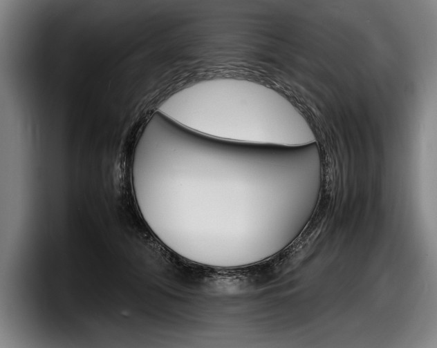 X0000098160608200804171219