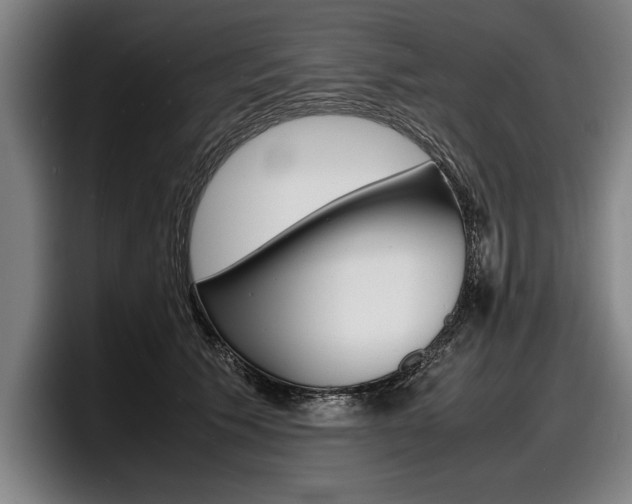 X0000098160609200804171219