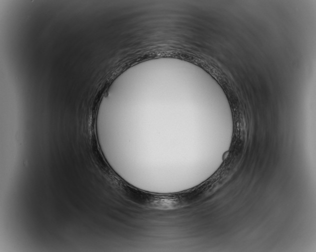 X0000098160610200804171219