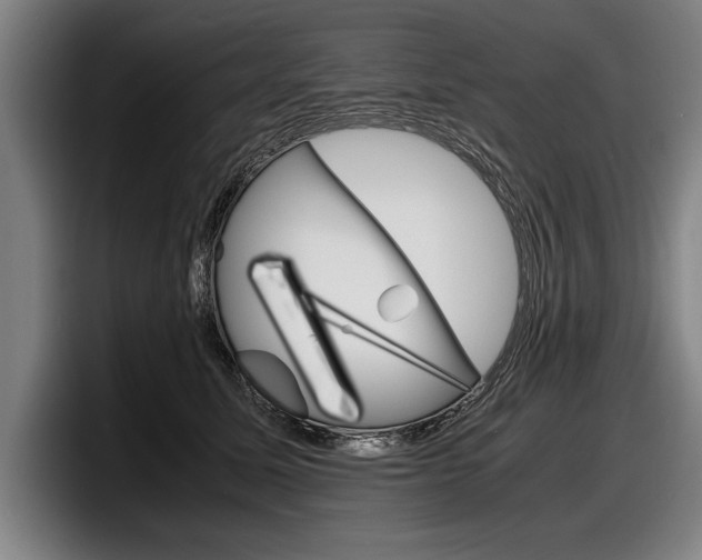 X0000098160611200804171219