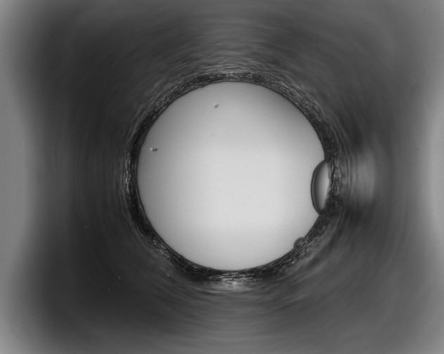 X0000098160612200804171219