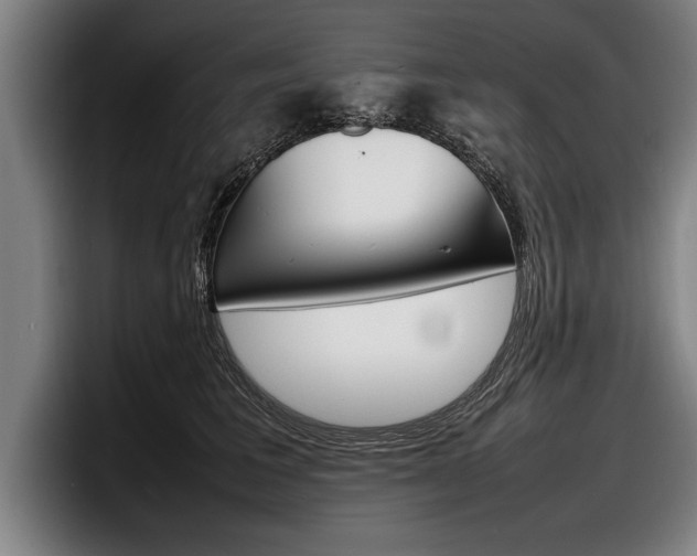 X0000098160613200804171219