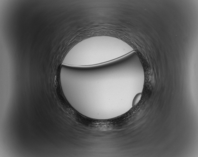 X0000098160615200804171219