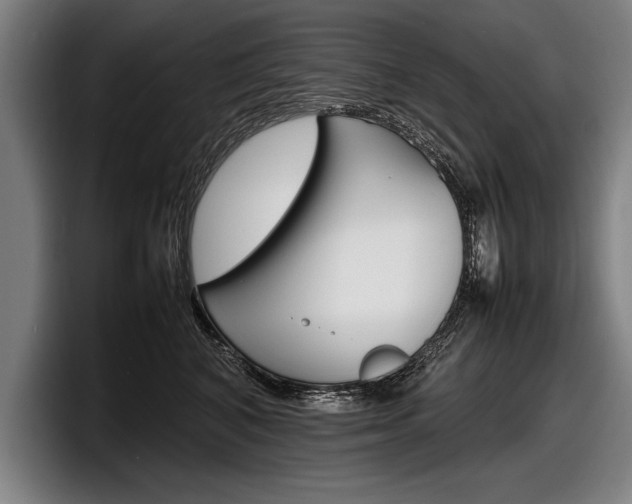 X0000098160616200804171219