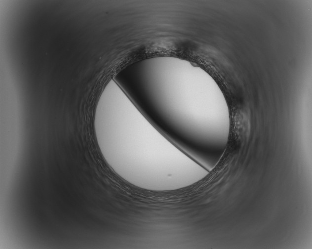 X0000098160617200804171219