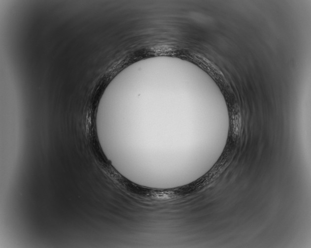 X0000098160618200804171219