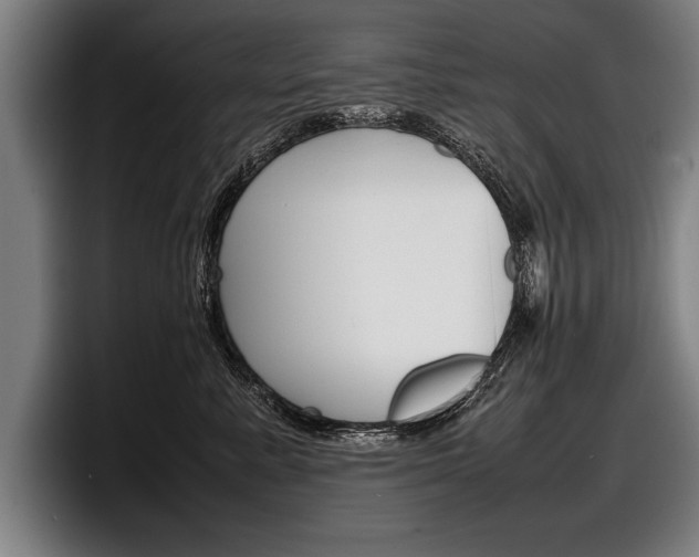 X0000098160619200804171219