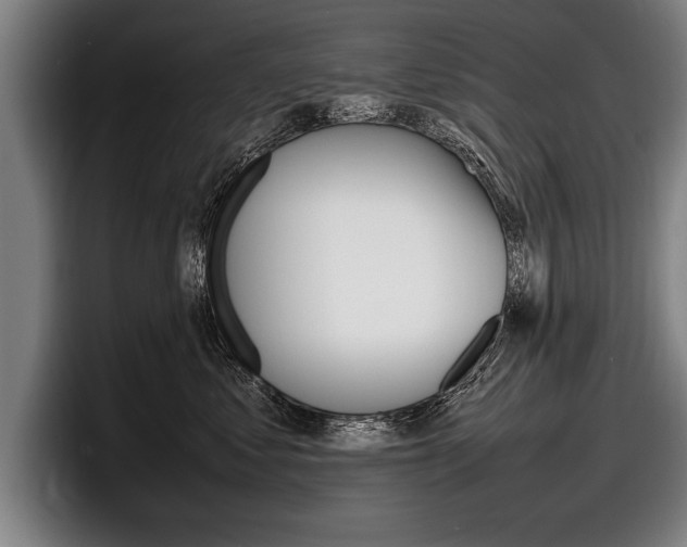 X0000098160621200804171219