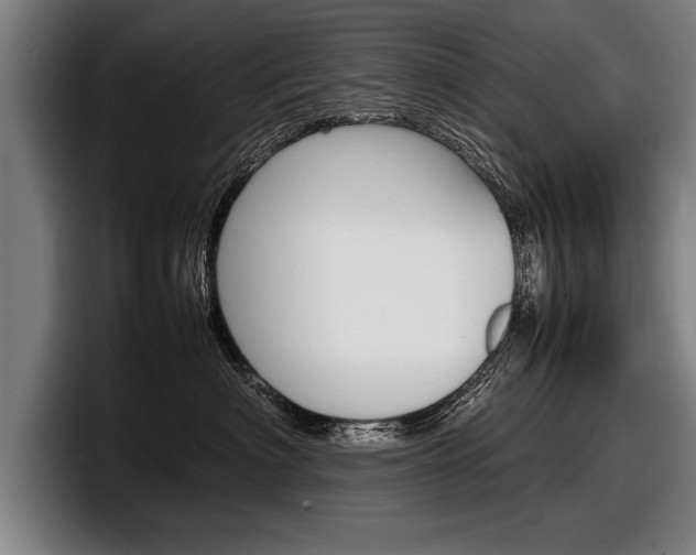 X0000098160622200804171219