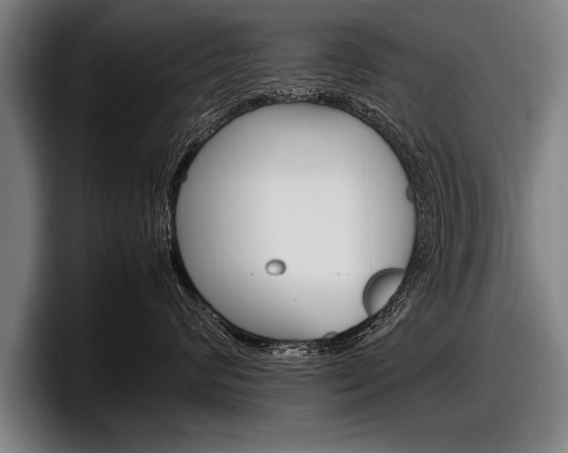 X0000098160624200804171219