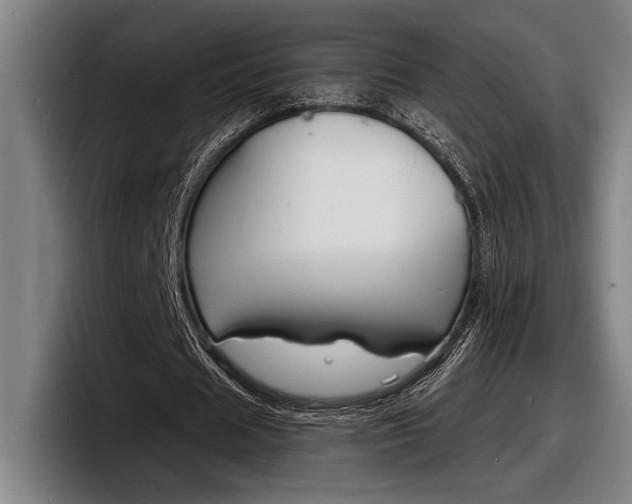 X0000098160625200804171218