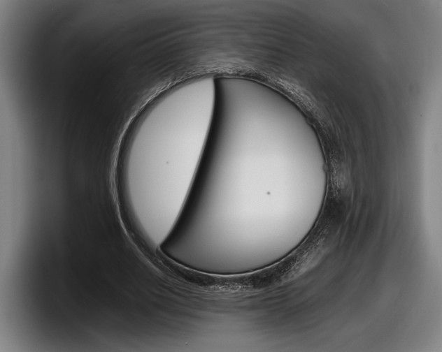 X0000098160630200804171218