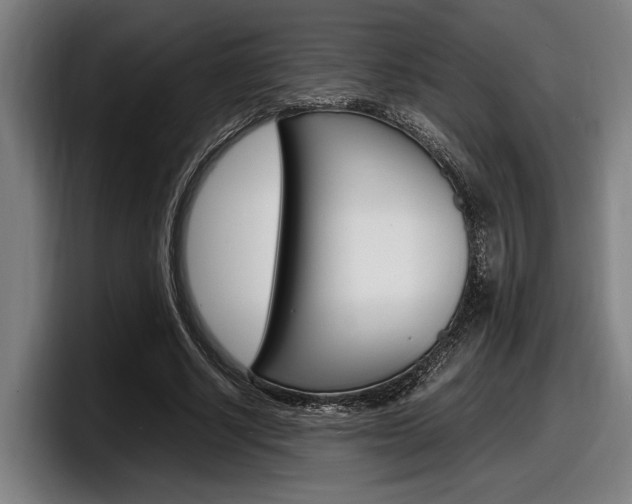 X0000098160634200804171218
