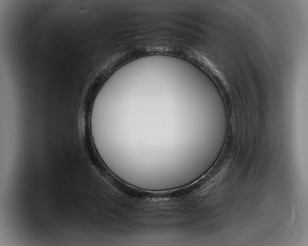 X0000098160637200804171218