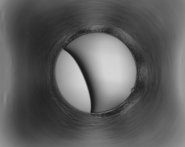 X0000098160644200804171218