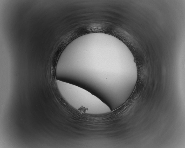 X0000098160645200804171218