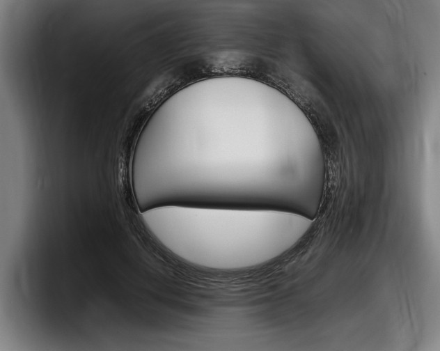 X0000098160648200804171218