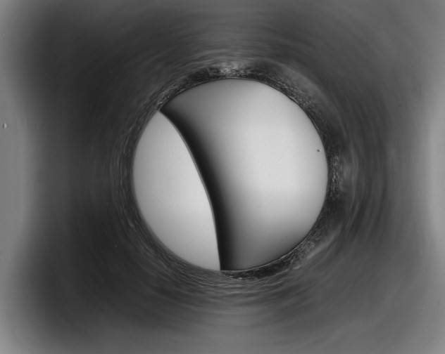 X0000098160650200804171218
