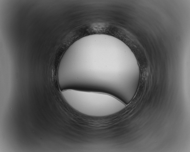 X0000098160651200804171219