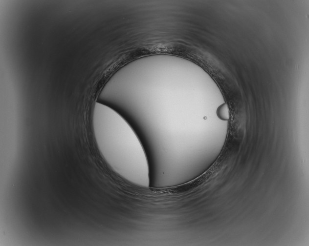 X0000098160652200804171219
