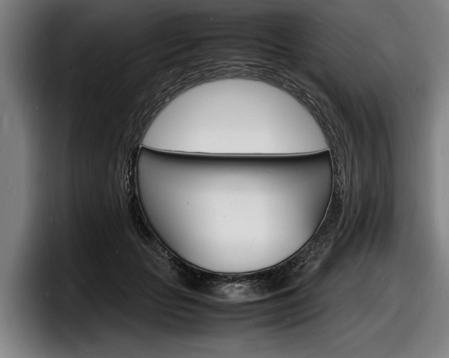 X0000098160653200804171219