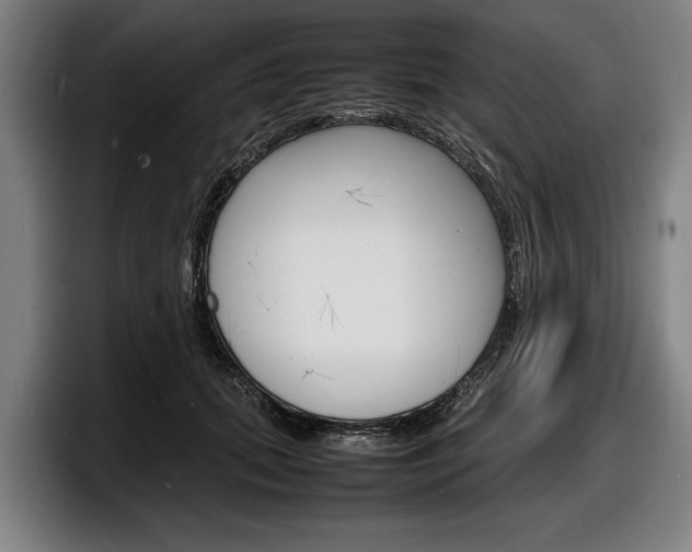 X0000098160655200804171219