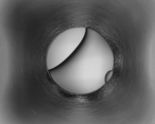 X0000098160656200804171219