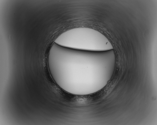 X0000098160658200804171219
