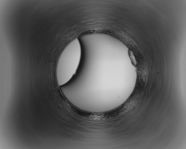 X0000098160660200804171219