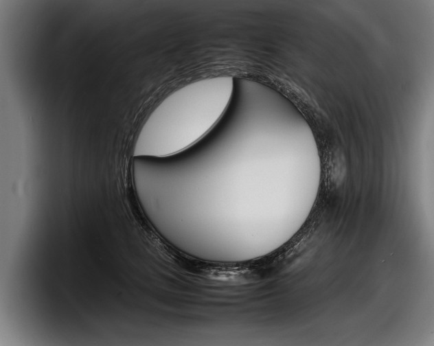 X0000098160661200804171219