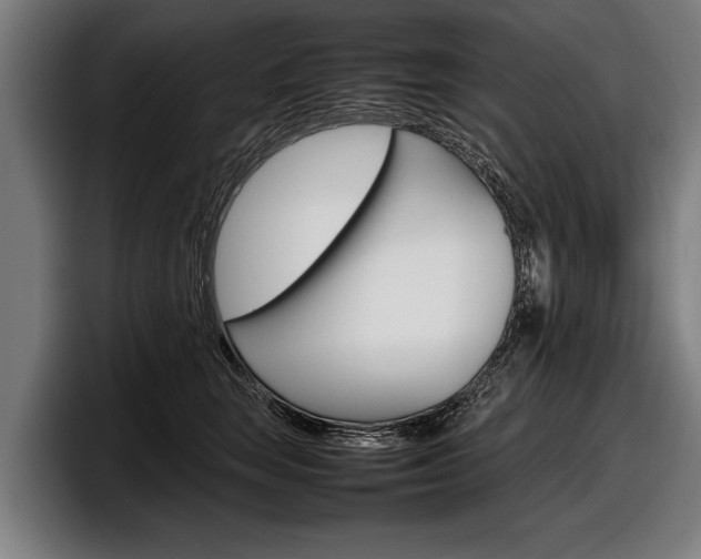 X0000098160663200804171219