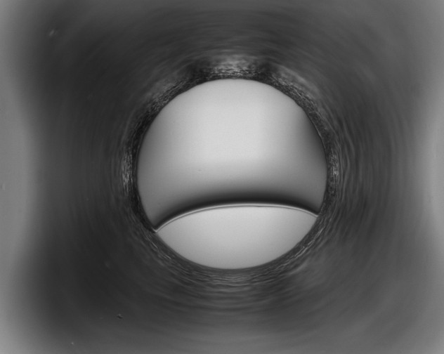 X0000098160665200804171219