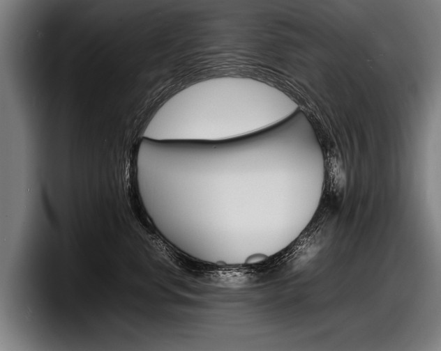 X0000098160668200804171219
