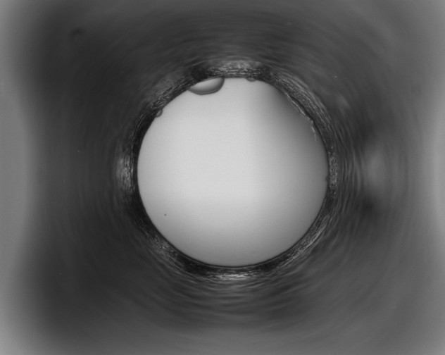 X0000098160669200804171219